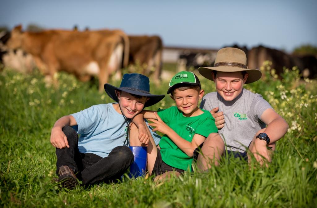 Managing Ryegrass pastures for optimum production